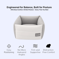 snooze - back support pillow